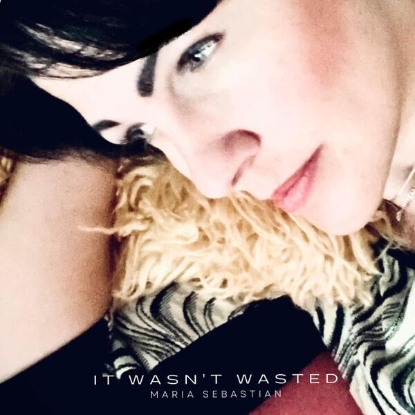Cover art for It Wasn't Wasted